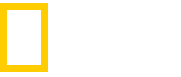 내셔널지오그래픽Kids 매거진